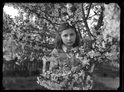 Krystyna Urban przy kwitnącym drzewie prawdopodobnie w ogrodzie willi służbowej ojca Augustyna Urbana na warszawskim Żoliborzu