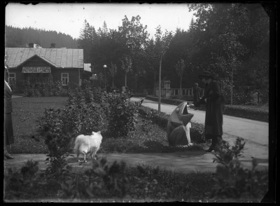 Sanatorium w Krynicy -  kuracjusze i budynek Państwowego Zakładu Przyrodoleczniczego. Po prawej Helena Janusz