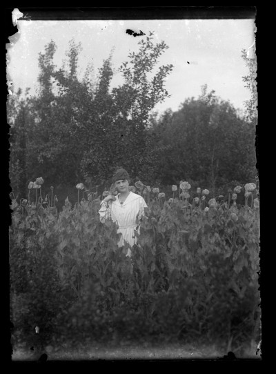 GFK-1-713 Kobieta w polu z makami GFK-1-713.jpg