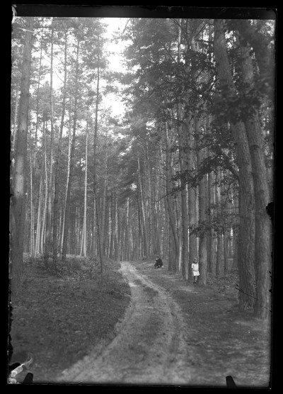 GFK-1-778 Spacer w lesie GFK-1-778.jpg