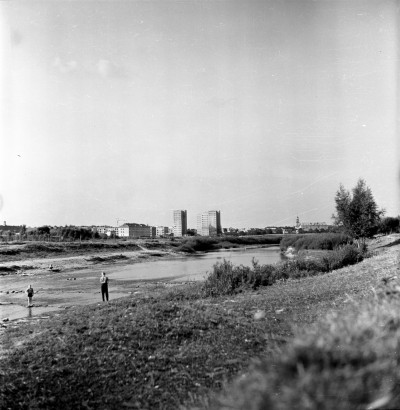 Susza na rzece Wisłok, okolice Mostu Karpackiego, w Rzeszowie. W tle od prawej Zamek Lubomirskich i wieżowce przy ul. Teofila Lenartowicza