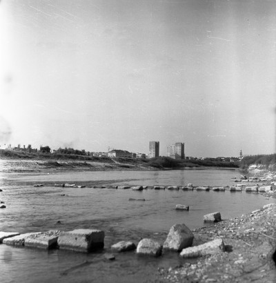 Susza na rzece Wisłok, okolice Mostu Karpackiego, w Rzeszowie. W tle od prawej Zamek Lubomirskich i wieżowce przy ul. Teofila Lenartowicza