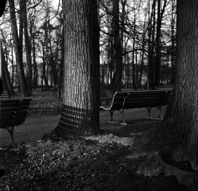 Park im. Ludwika Waryńskiego przy ul. gen. Jarosława Dąbrowskiego w Rzeszowie