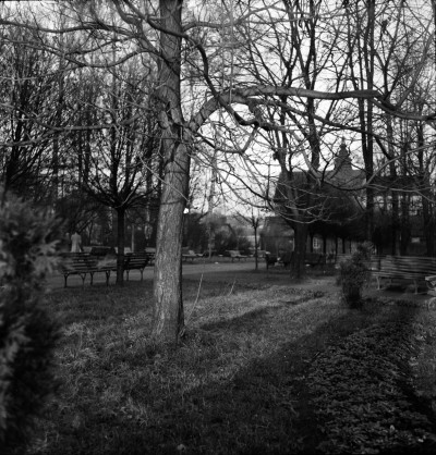 Park im. Ludwika Waryńskiego przy ul. gen. Jarosława Dąbrowskiego w Rzeszowie. W tle kościół Garnizonowy pw. Matki Boskiej Królowej Polski 