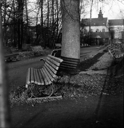 Park im. Ludwika Waryńskiego przy ul. gen. Jarosława Dąbrowskiego w Rzeszowie.  W tle kościół Garnizonowy pw. Matki Boskiej Królowej Polski 