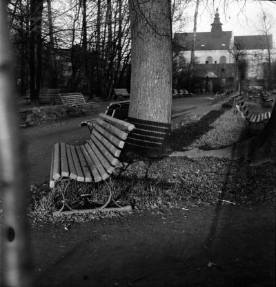 Park im. Ludwika Waryńskiego przy ul. gen. Jarosława Dąbrowskiego w Rzeszowie. W tle kościół Garnizonowy pw. Matki Boskiej Królowej Polski 