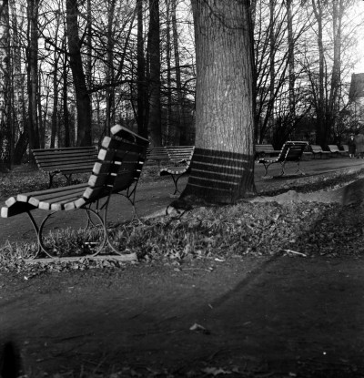 Park im. Ludwika Waryńskiego przy ul. gen. Jarosława Dąbrowskiego w Rzeszowie. Po prawej fragment kościoła Garnizonowego pw. Matki Boskiej Królowej Polski 