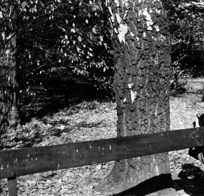 Park im. Ludwika Waryńskiego przy ul. gen. Jarosława Dąbrowskiego w Rzeszowie