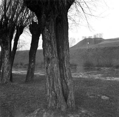 Nad Wisłokiem w Rzeszowie. W tle Kopiec Konfederatów Barskich na osiedlu Pobitno