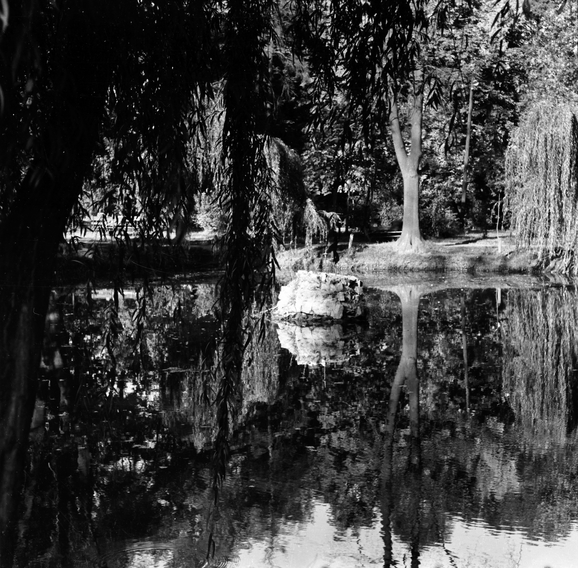 Park im. Ludwika Waryńskiego przy ul. gen. Jarosława Dąbrowskiego w Rzeszowie