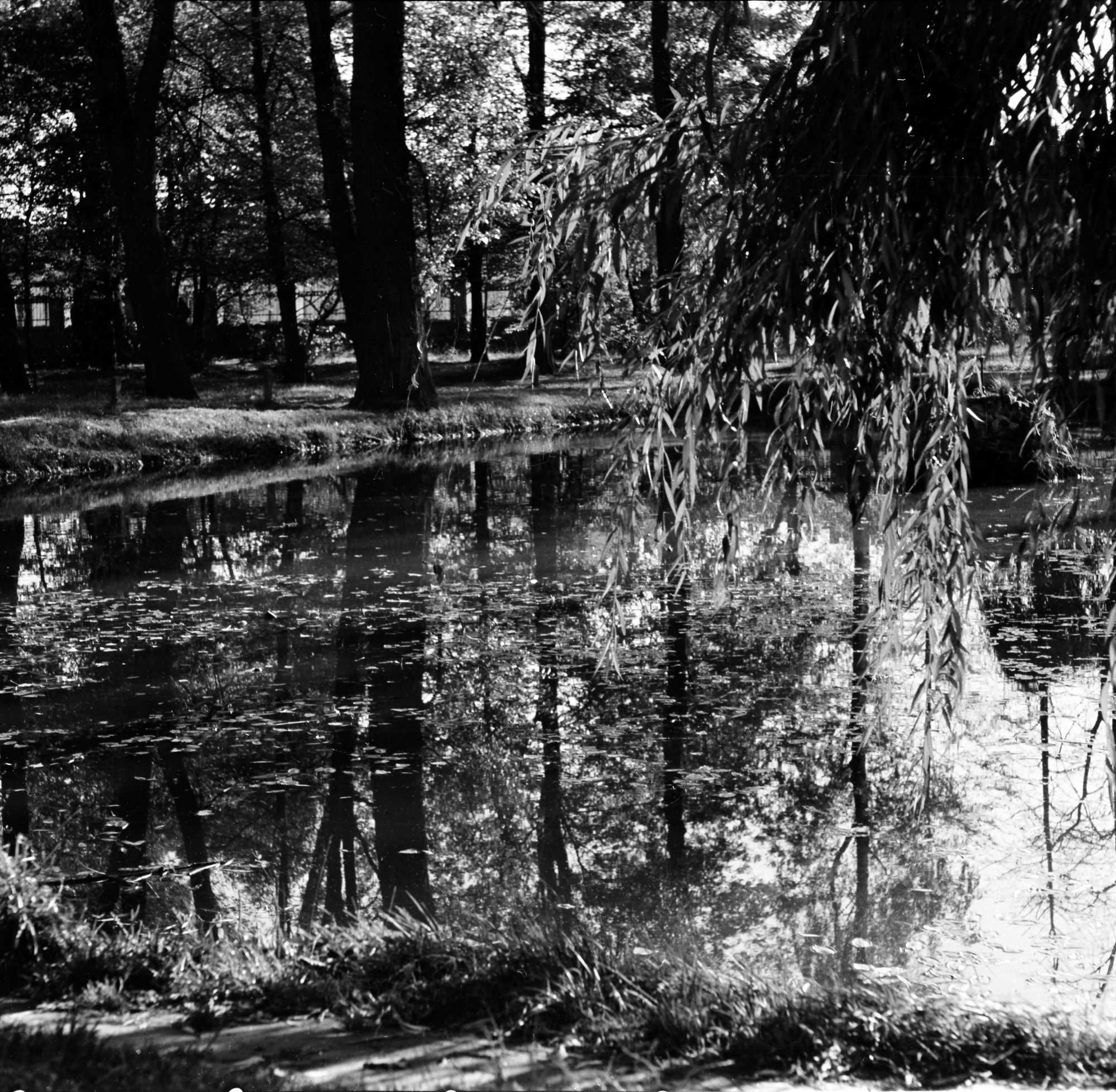 Park im. Ludwika Waryńskiego przy ul. gen. Jarosława Dąbrowskiego w Rzeszowie