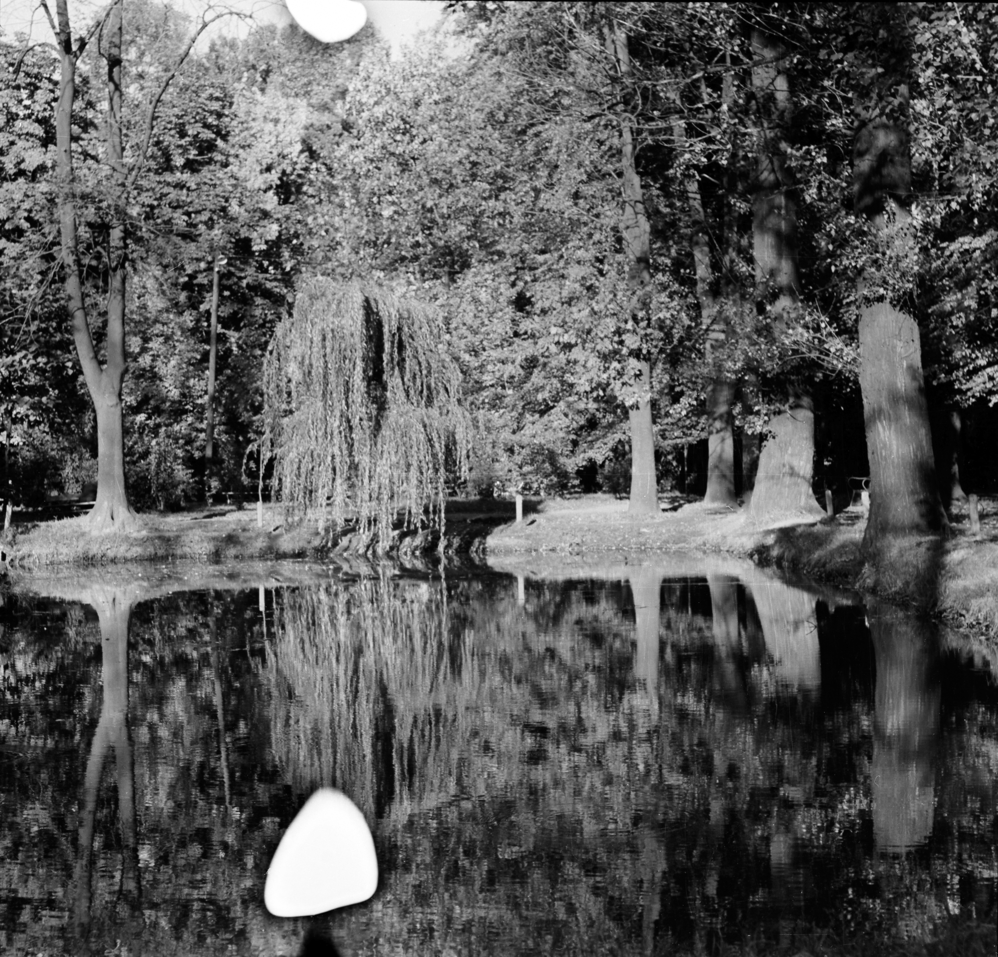 Park im. Ludwika Waryńskiego przy ul. gen. Jarosława Dąbrowskiego w Rzeszowie