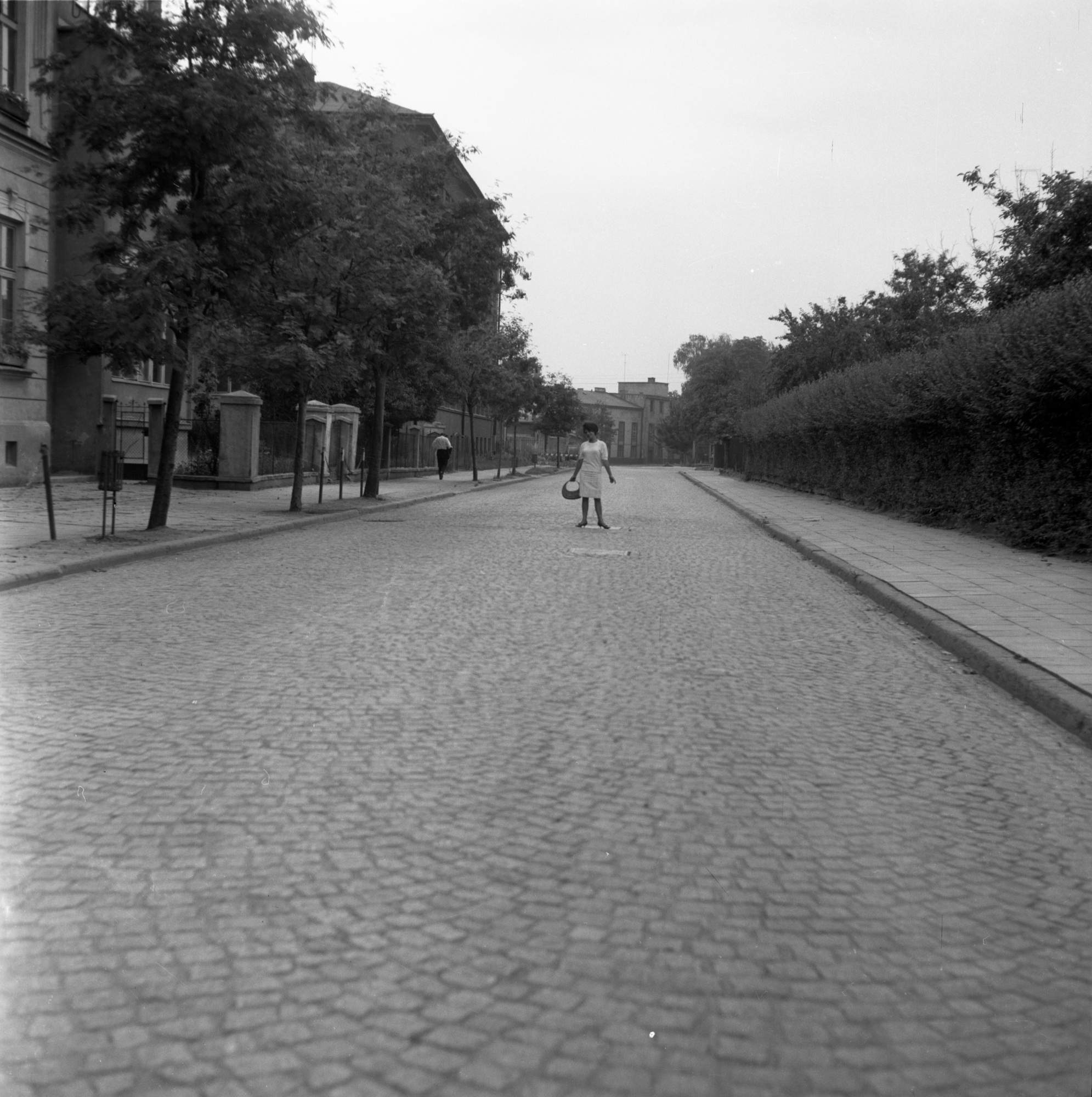 Kobieta na ul. Klementyny Hoffmanowej w Rzeszowie. W tle Rzeszowska Fabryka Sprzętu Gospodarczego im. Augustyna Micała (1957-1967)  / poźniej „ZELMER” Rzeszowskie Zakłady Elektromechaniczne im. Augustyna Micała, następnie Zakłady Zmechanizowanego Sprzętu Gospodarstwa Domowego im. Augustyna Micała „PREDOM-ZELMER” w Rzeszowie