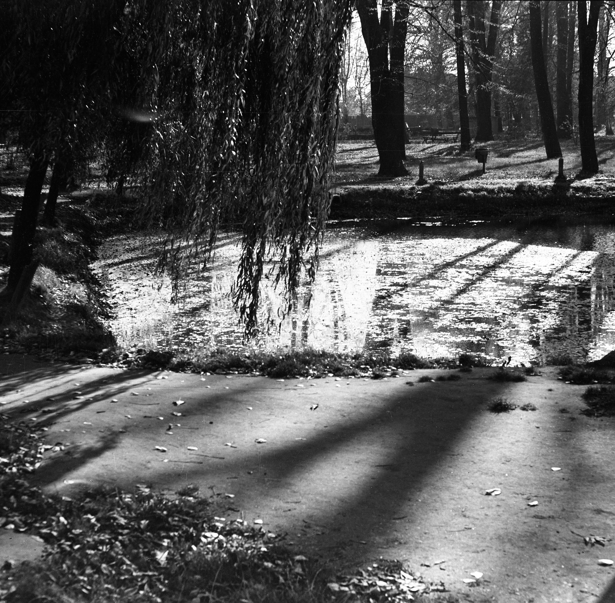 Park im. L. Waryńskiego przy ul. gen. Jarosława Dąbrowskiego w Rzeszowie
