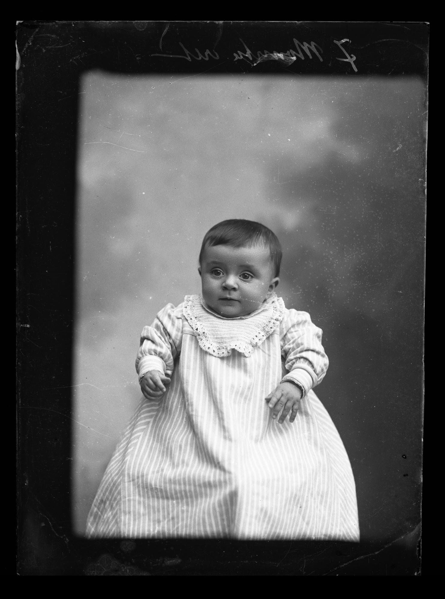 Portret Helenki Janusz