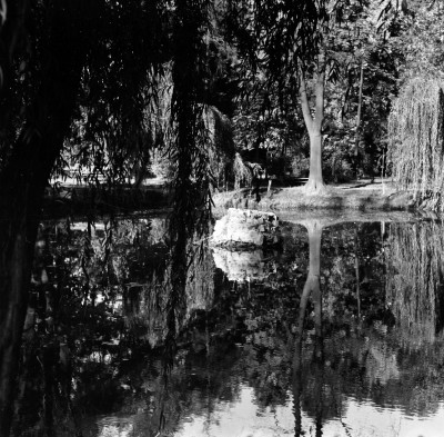 Park im. Ludwika Waryńskiego przy ul. gen. Jarosława Dąbrowskiego w Rzeszowie