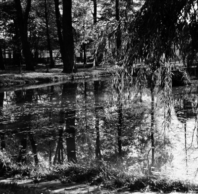 Park im. Ludwika Waryńskiego przy ul. gen. Jarosława Dąbrowskiego w Rzeszowie