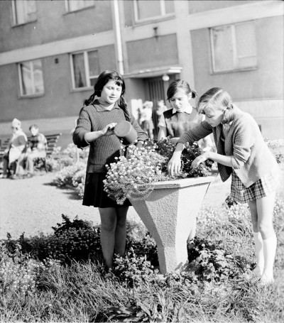 Dzieci pielęgnujące rabaty przed blokiem - narożnik ul. gen. Mariana Langiewicza i Anieli Krzywoń w Rzeszowie, obecnie ul. prof. Ludwika Chmaja