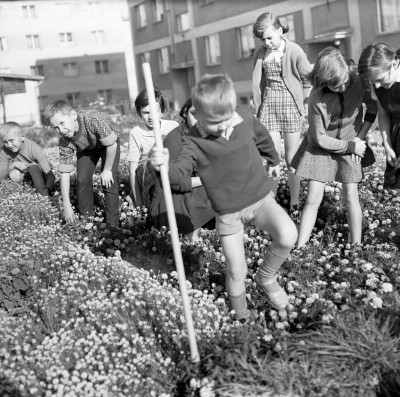 Dzieci pielęgnujące rabaty przed blokiem - narożnik ul. gen. Mariana Langiewicza i Anieli Krzywoń w Rzeszowie, obecnie ul. prof. Ludwika Chmaja