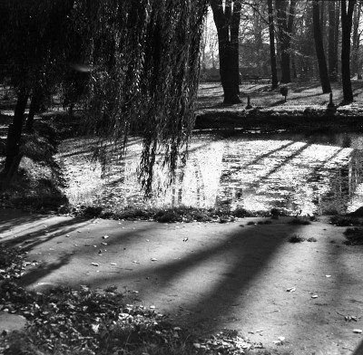 Park im. L. Waryńskiego przy ul. gen. Jarosława Dąbrowskiego w Rzeszowie