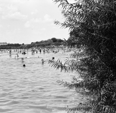 Ludzie wypoczywający nad rzeką Wisłok w Rzeszowie. Wtle fragment Zamku Lubomirskich
