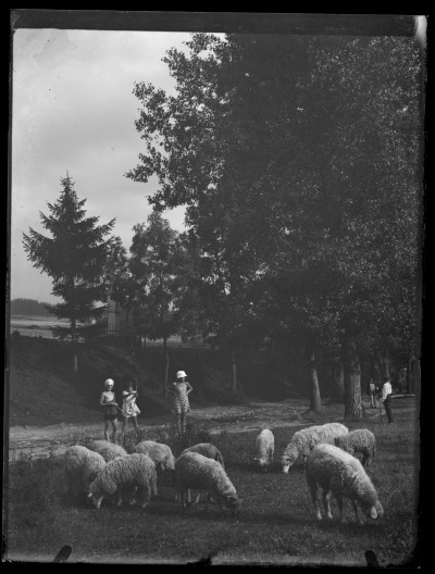 Bawiące się dzieci na łace w Rabce. Od lewej: Irena Elgas z kuzynką Krystyną Urban i bratem Marianem