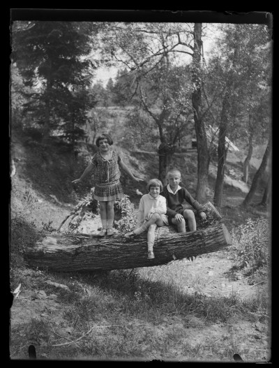 Dzieci na pniu drzewa w Rabce. Od lewej: Krystyna Urban, Irena i Marian Elgas